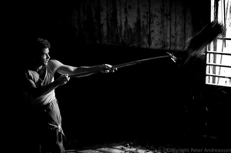 The farmer